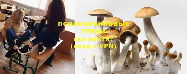 прущие крисы Дмитровск