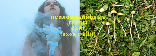 таблы Дмитриев