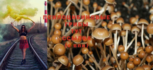 прущая мука Гусиноозёрск